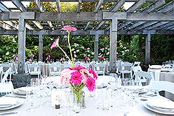 LOVE IN BLOOM AT WISTERIA HALL